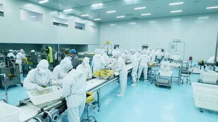 疆果果 深耕新疆堅果，以創新研發打造品質與文化融合的產業標桿